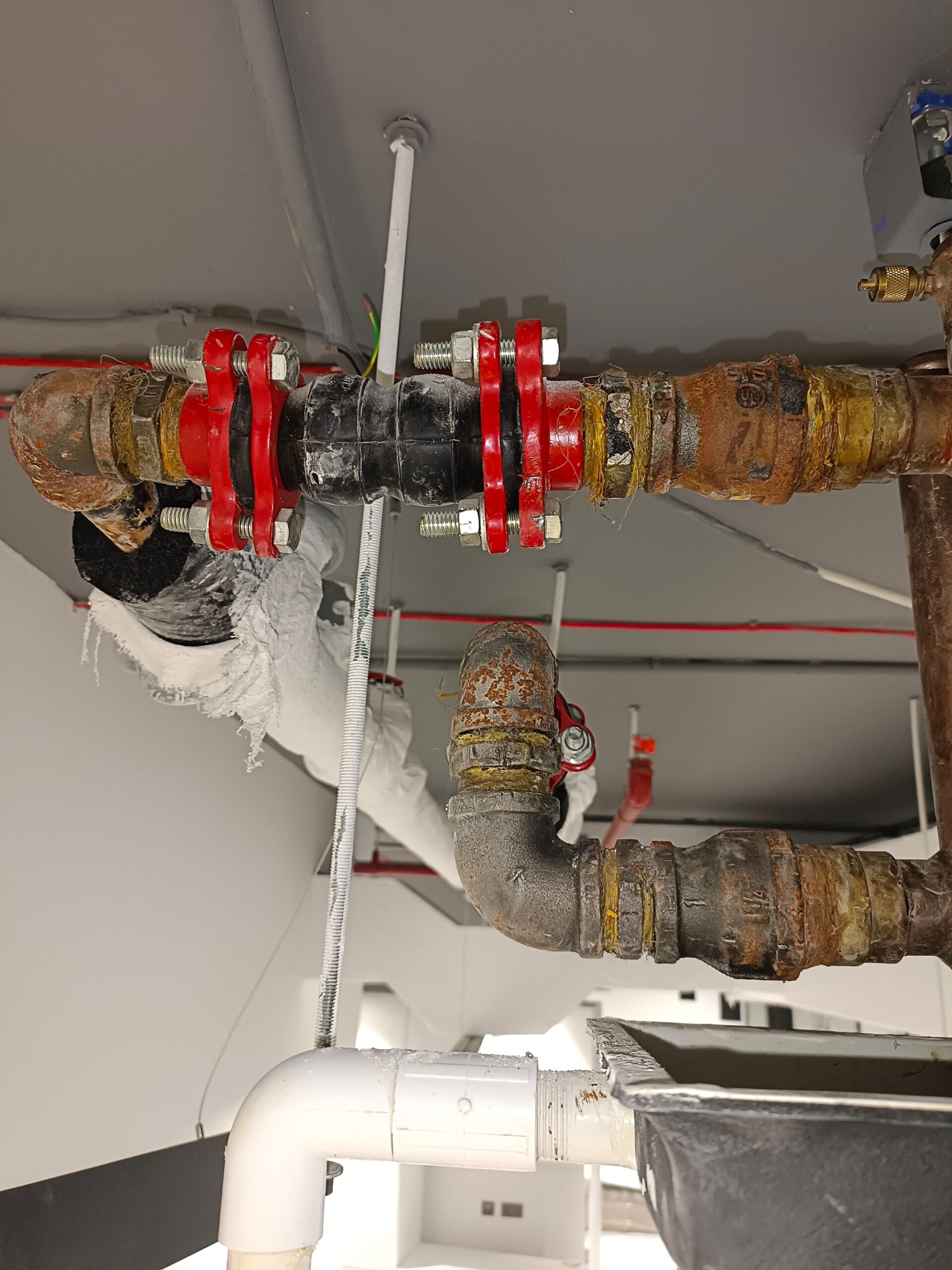 Drain Line Cleaning